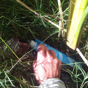 Apache San Jacinto 11.09 1896